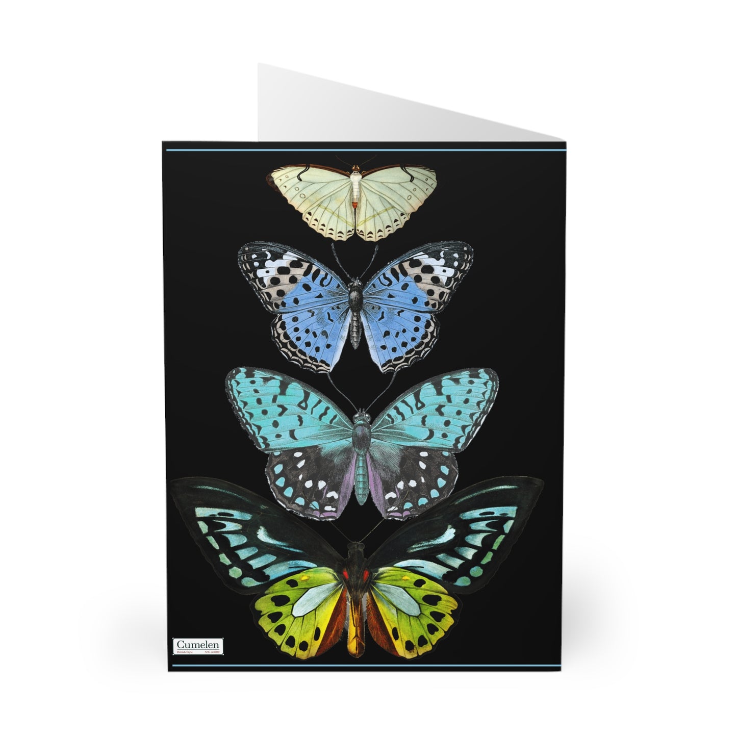 Greeting Cards - Butterfly Design (5 Pack)