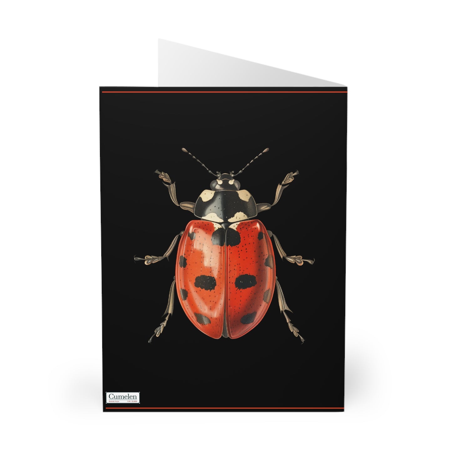 Greeting Cards Pack - Ladybug Design (5 Pack)