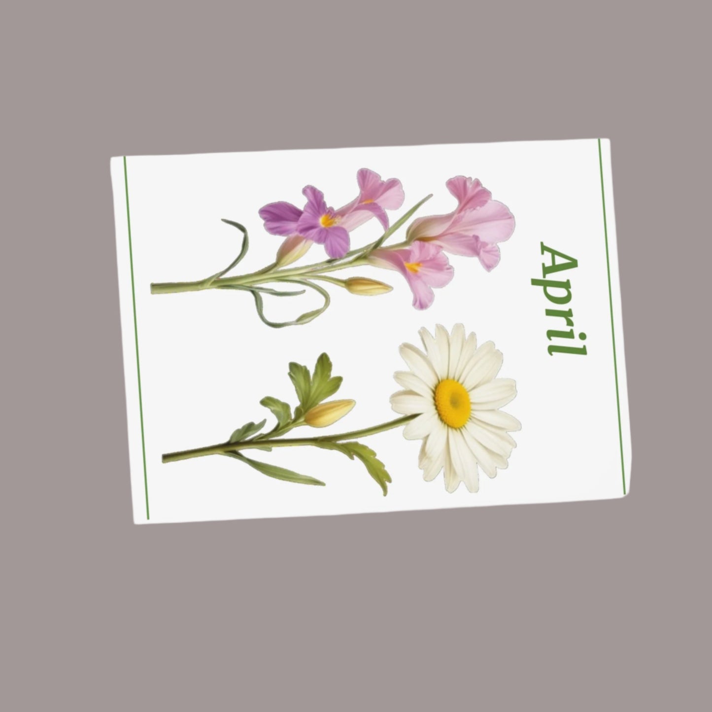 April Birth Flower Greeting Cards (5 Pack)