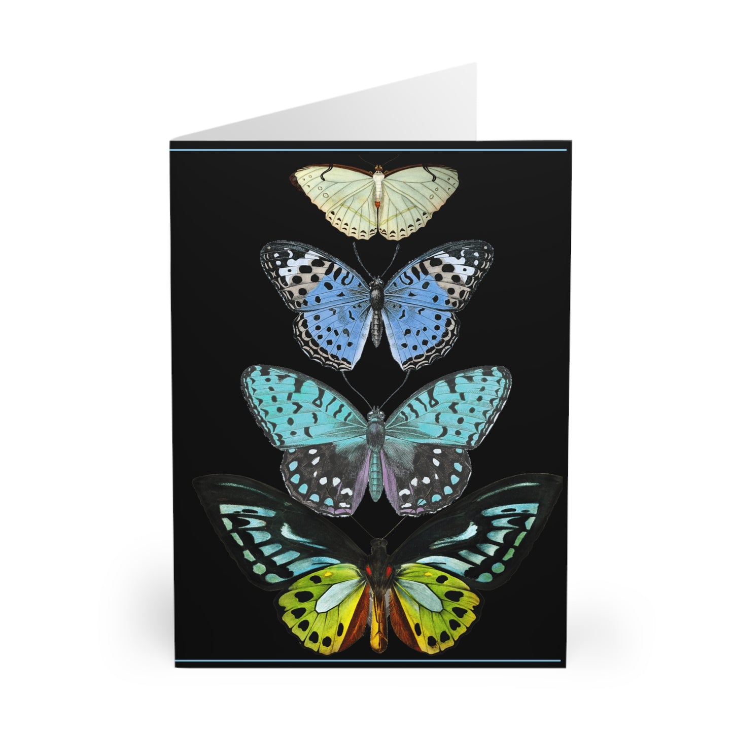 Greeting Cards - Butterfly Design (5 Pack)