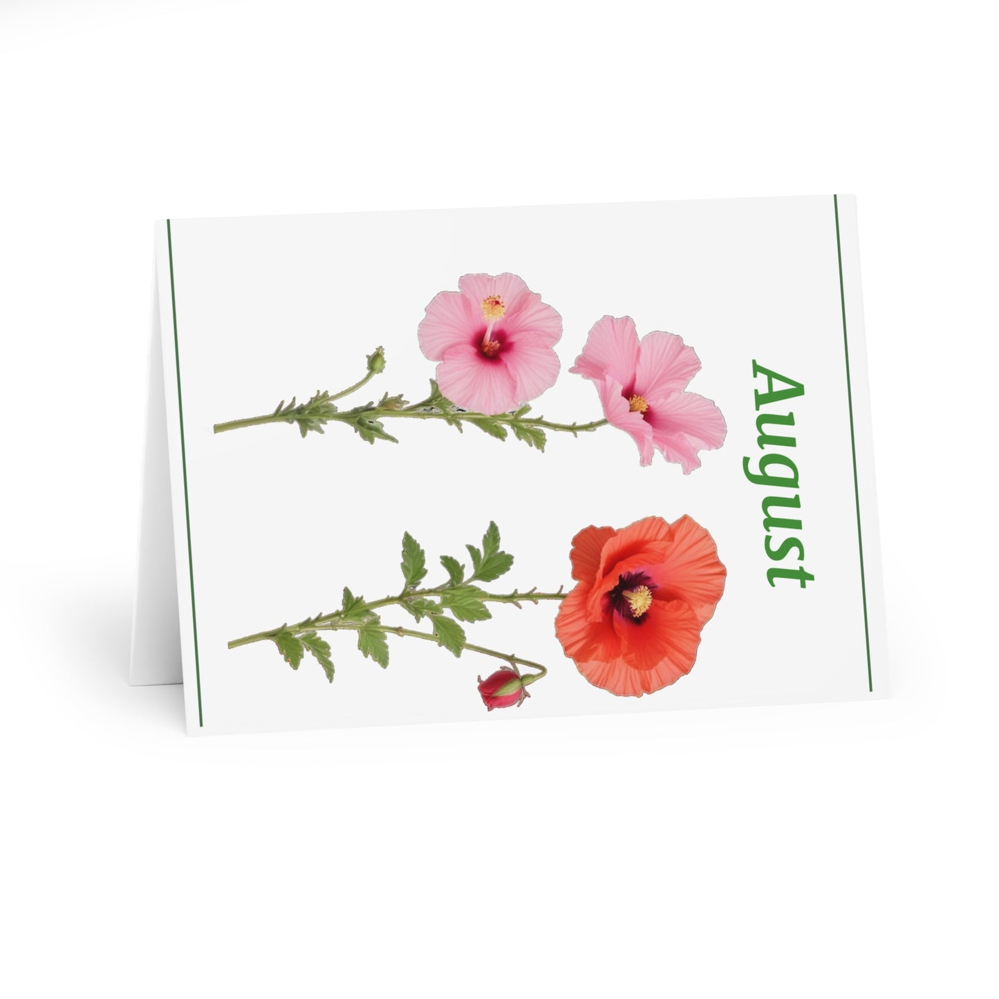 August Birth Flower Greeting Cards (5 Pack)