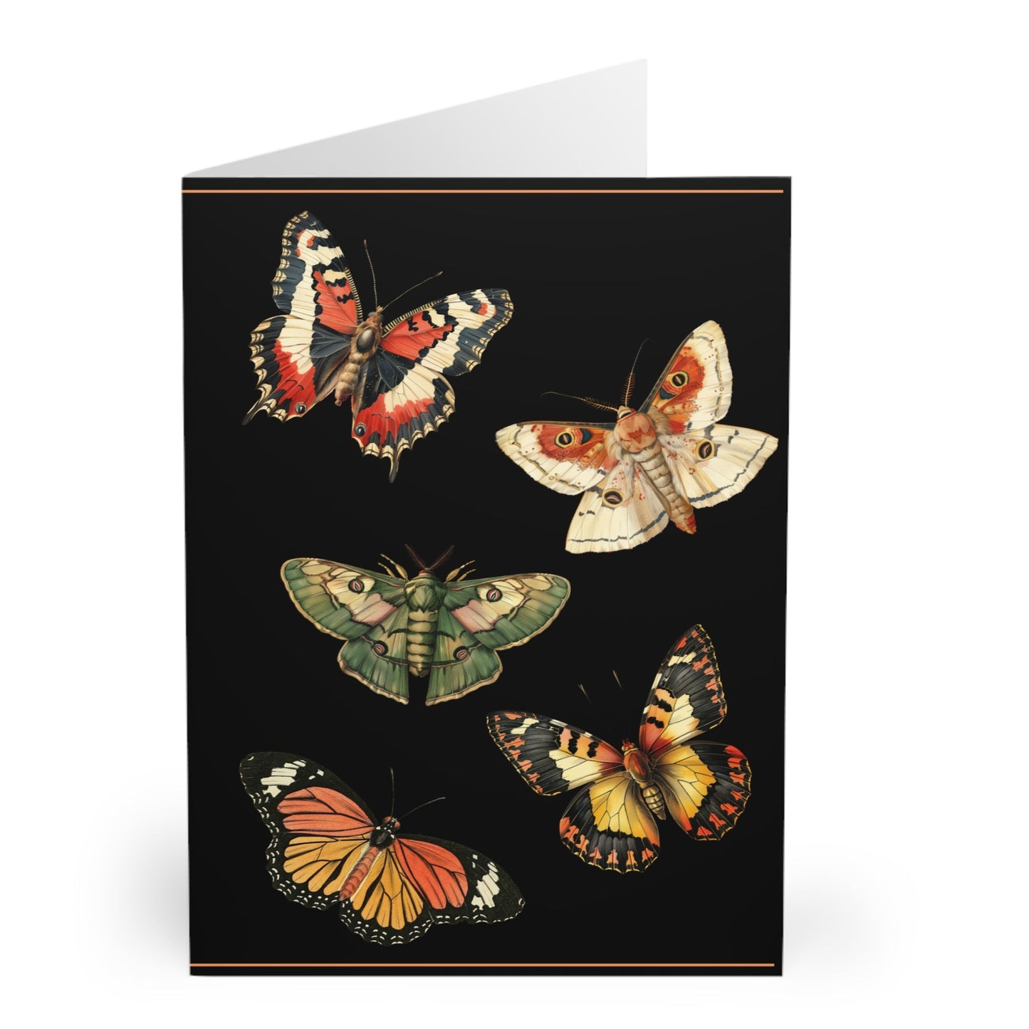 Butterfly Greeting Cards (5 Pack) - Orange, Green, Beige, Black Background
