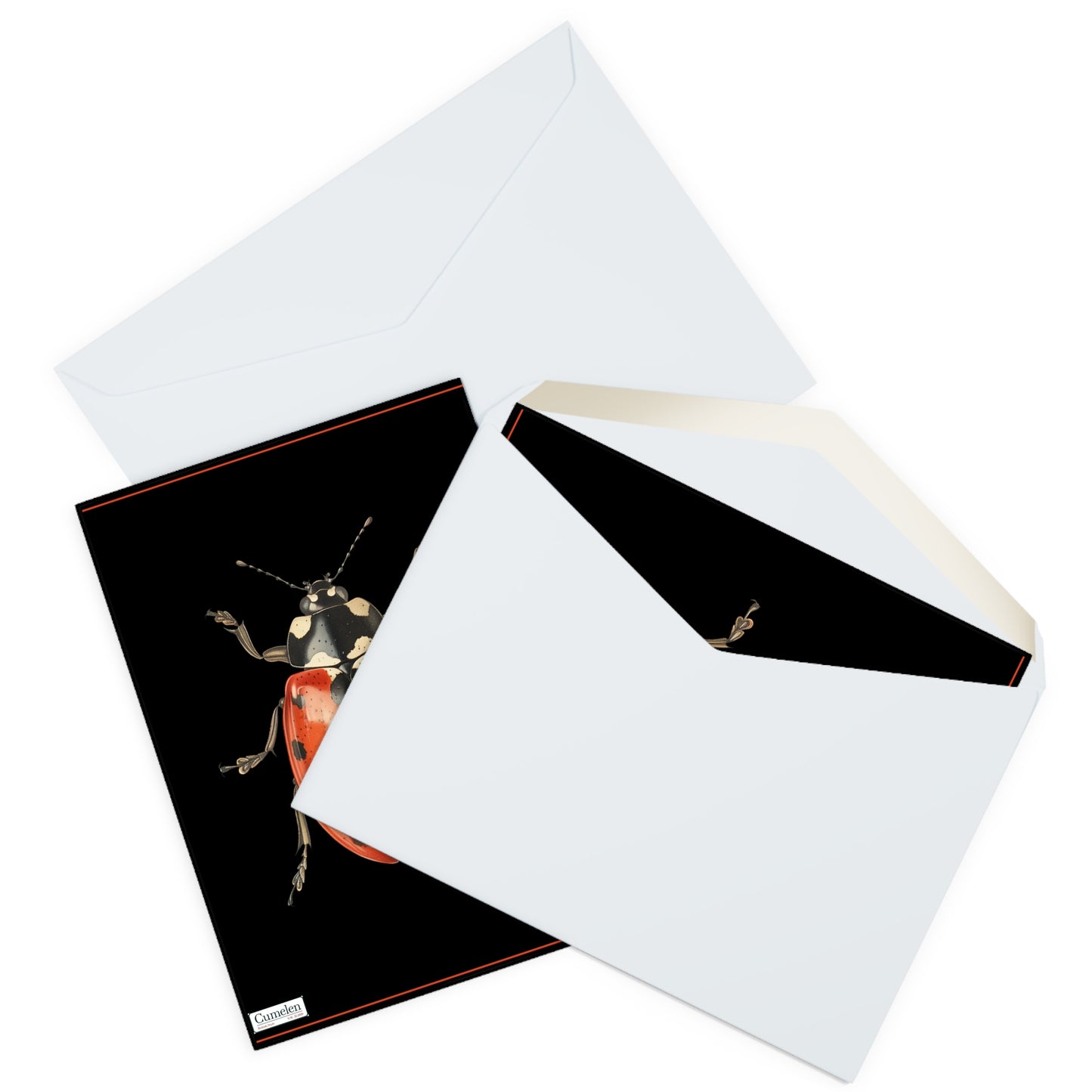 Greeting Cards Pack - Ladybug Design (5 Pack)