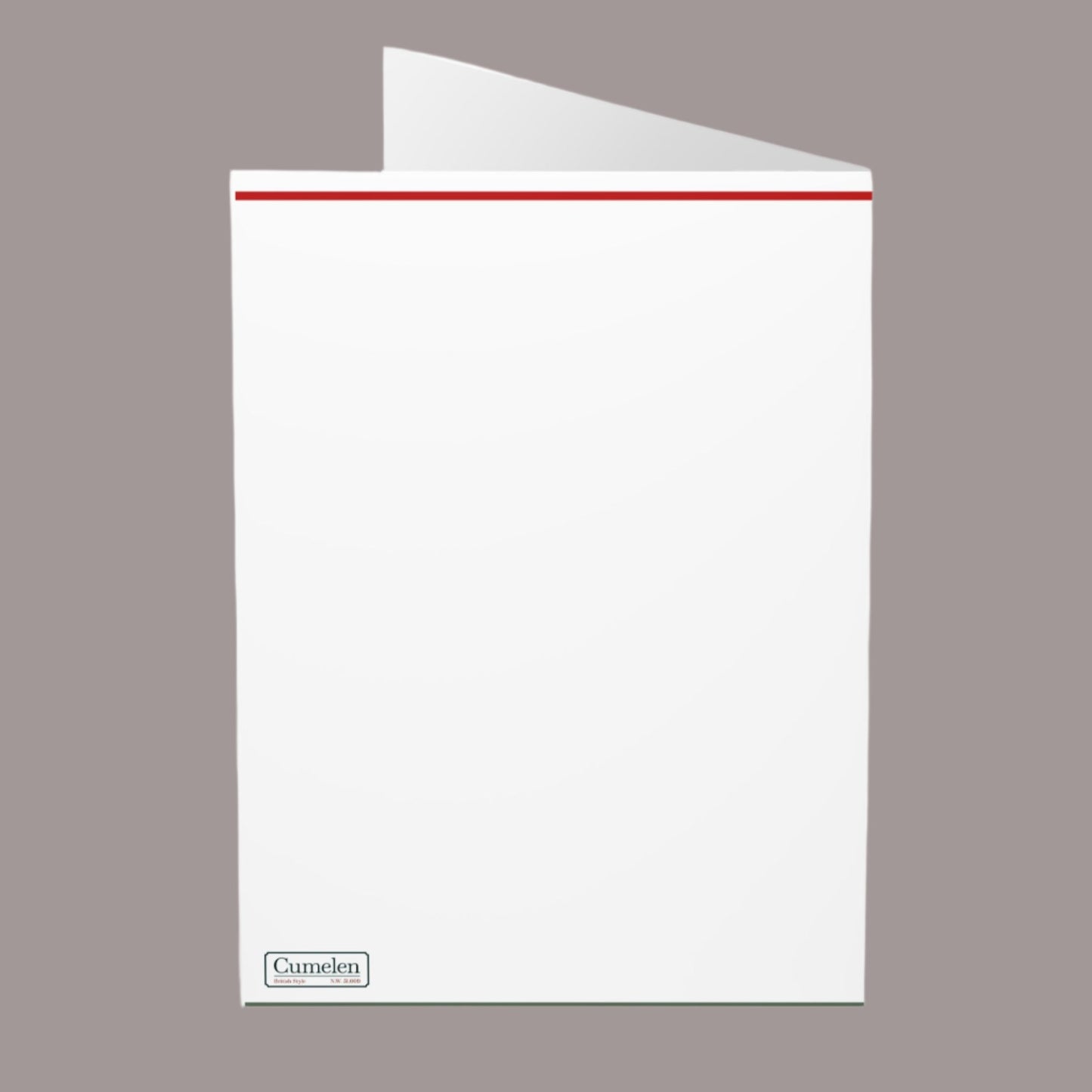 Christmas Greeting Cards (5 Pack) One Vintage design