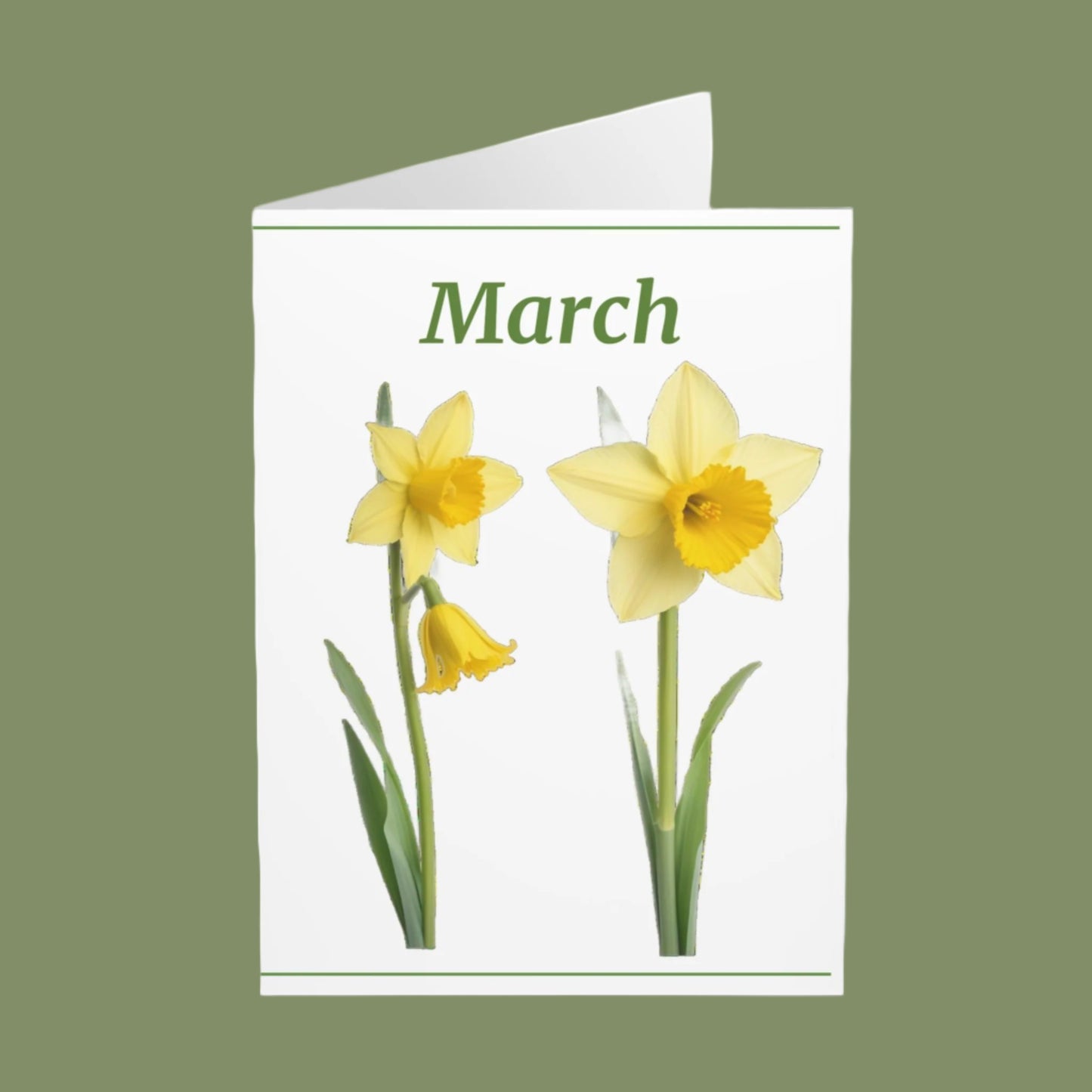 March Birth Flower Greeting Cards (5 Pack)