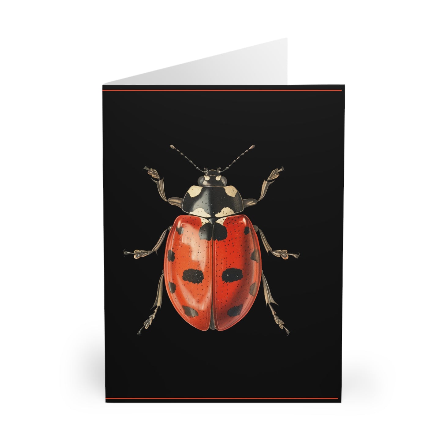 Greeting Cards Pack - Ladybug Design (5 Pack)