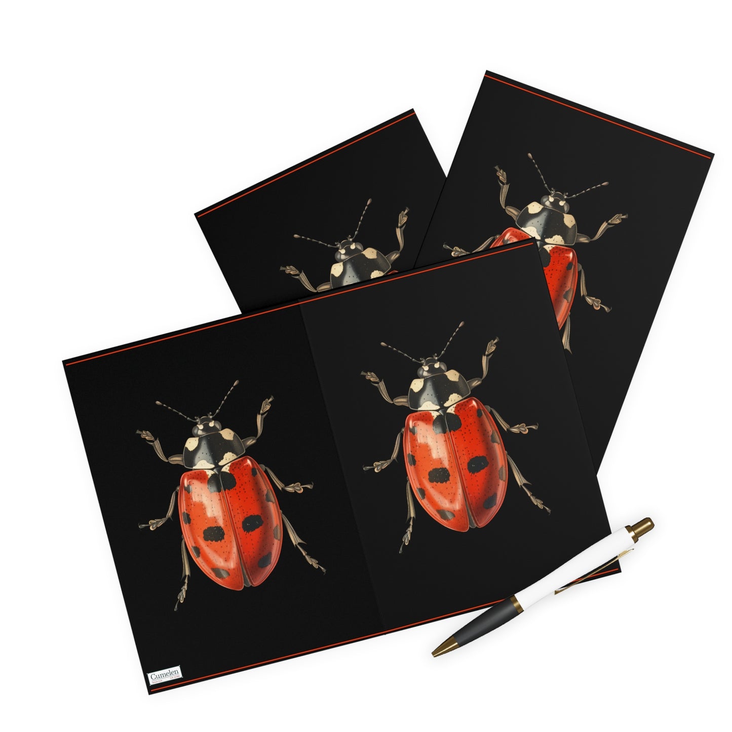 Greeting Cards Pack - Ladybug Design (5 Pack)
