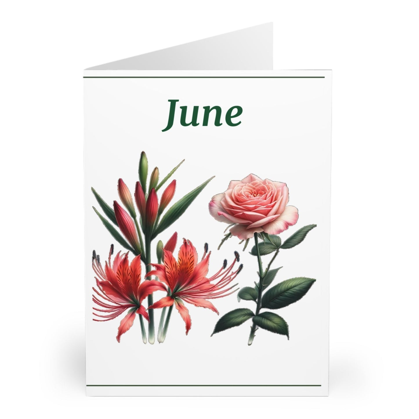 June Birth Flower Greeting Cards (5 Pack)
